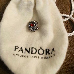 Birthday Blooms January Pandora Charm